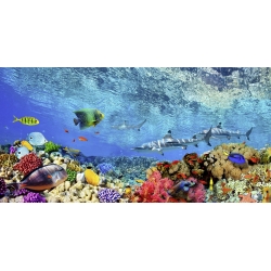 Tableau sur toile. Pangea Images, Requins et poissons, océan Indien