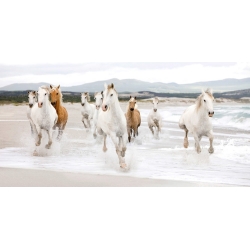 Cuadros caballos en canvas. Caballos en la playa (detalle)