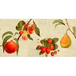 Wall art print and canvas. Remy Dellal, Seasonal fruit
