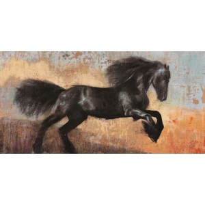 Leinwandbilder. Dario Moschetta, Black Stallion Pferd