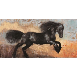 Leinwandbilder. Dario Moschetta, Black Stallion Pferd