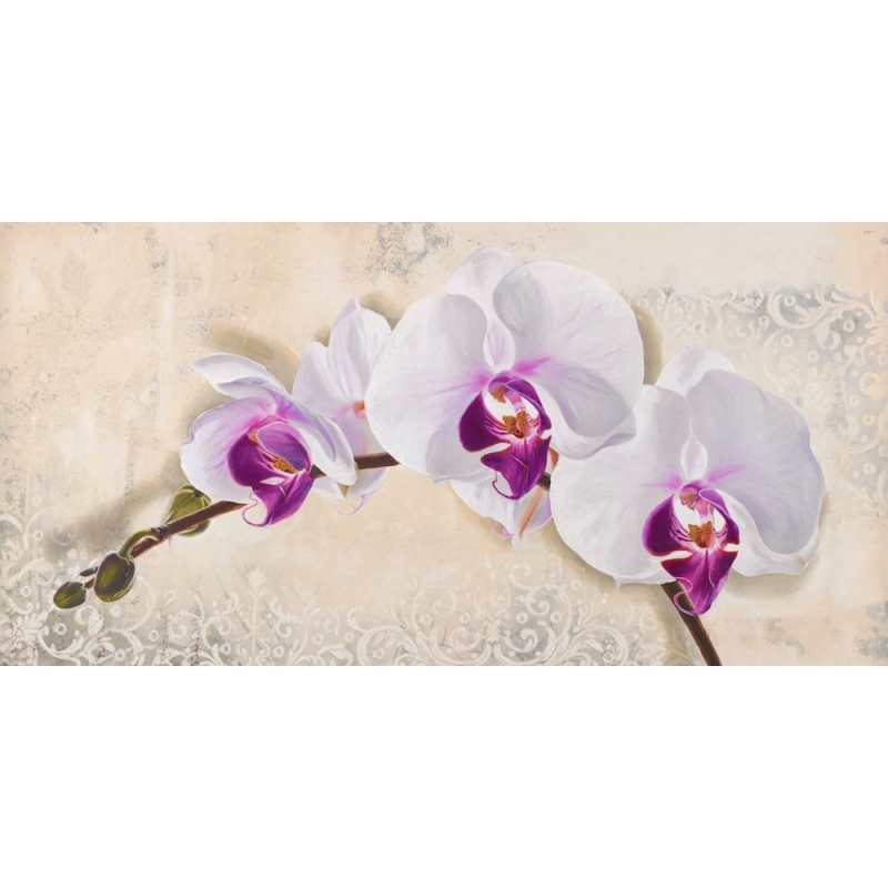 Tableau fleur sur toile. Elena Dolci, Orchidée royale