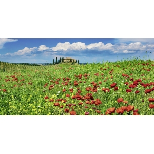 Tableau sur toile. Maison de campagne avec cyprès et coquelicots