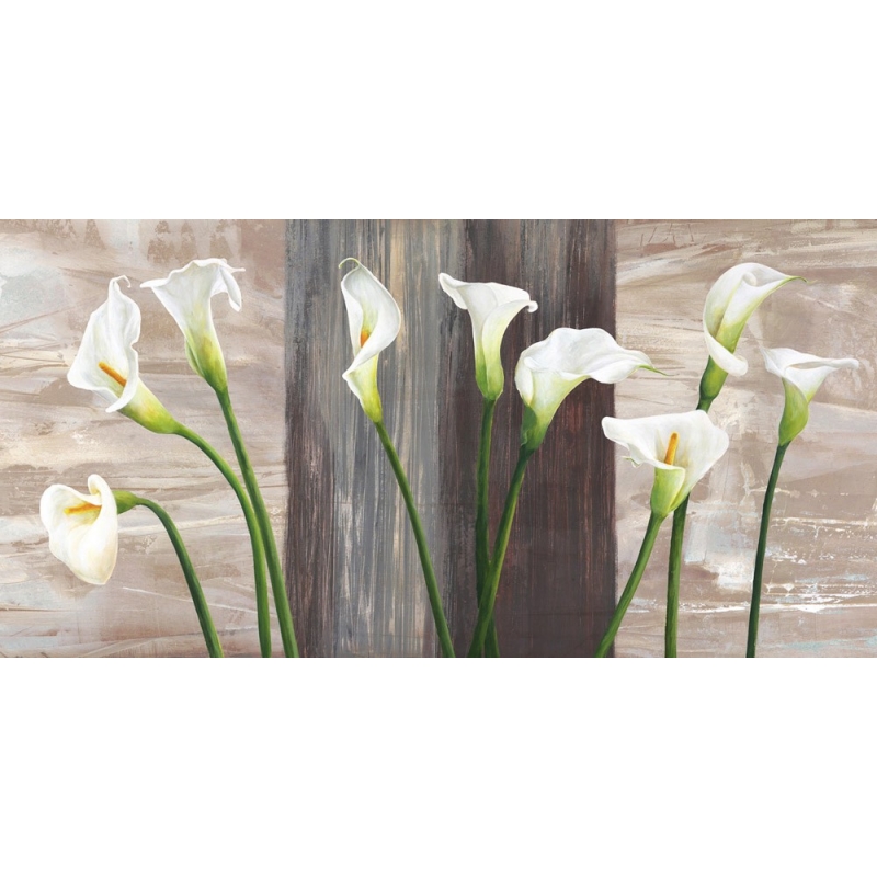 Wall art print and canvas. Jenny Thomlinson, Country Callas