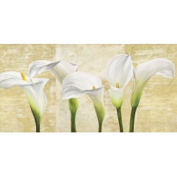 Tableau floral sur toile. Jenny Thomlinson, Callas sur or (neutral)