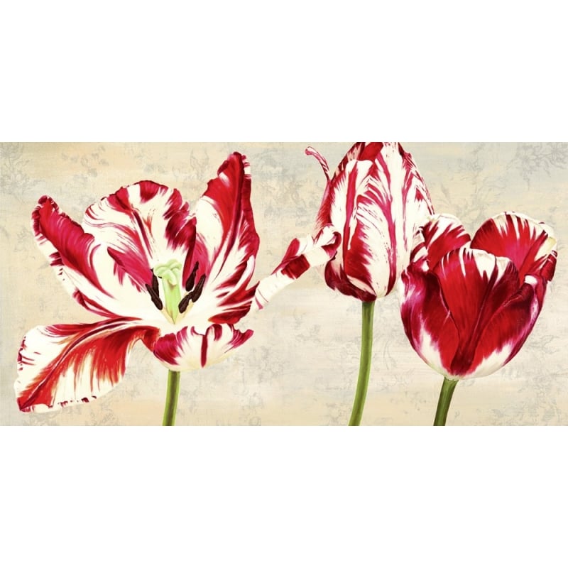 Wall art print and canvas. Luca Villa, Tulipes Royales