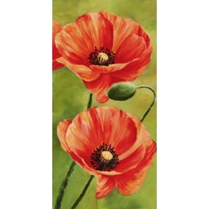 Wall art print and canvas. Luca Villa, Poppies in the wind II
