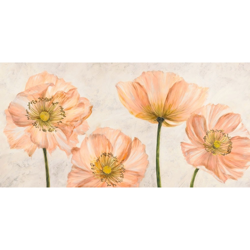 Cuadros de flores en canvas. Luca Villa, Amapolas en rosa