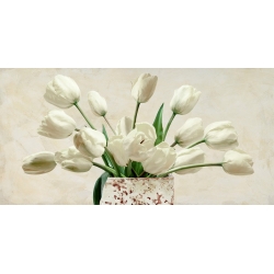 Cuadros tulipanes en canvas. Sanna, Ramo blanco