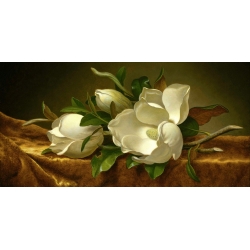 Wall art print and canvas. Martin Johnson Heade, Magnolias on Gold Velvet Cloth