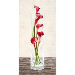 Leinwanddruck mit modernen Blumen. Shin Mills, Arrangement of Callas
