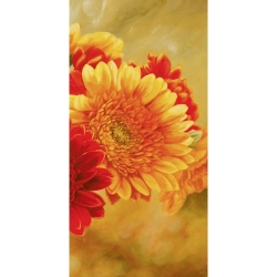 Cuadros de flores modernos en canvas. Serena Biffi, Gerberas al sol III