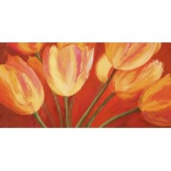 Cuadros tulipanes en canvas. Silvia Mei, Orange Tulips