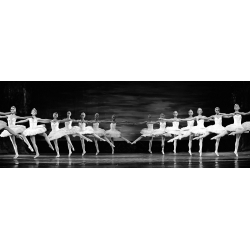 Lainwandbilder. Anonym, Swan Lake ballet