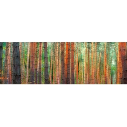 Tableau sur toile. Les couleurs de la forêt
