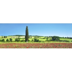 Cuadros naturaleza en canvas. Cipreses en un campo, Toscana