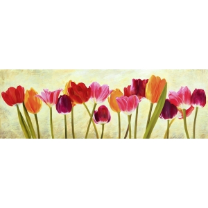 Leinwandbilder Blumen. Luca Villa, Tulip parade