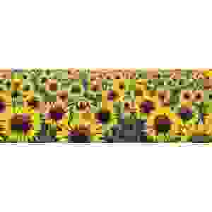 Wall art print and canvas. Tebo Marzari, Sunflowers (detail)