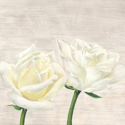 Cuadros de flores modernos en canvas. Jenny Thomlinson, Classic Roses II
