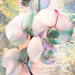 Cuadros de flores modernos en canvas. Kaleidoscope Orchid (detalle)