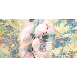 Quadro, stampa su tela. Kelly Parr, Kaleidoscope Orchid