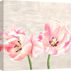 Quadro, stampa su tela. Jenny Thomlinson, Classic Tulips II