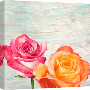 Cuadros de flores modernos en canvas. Jenny Thomlinson, Funky Roses II