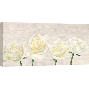 Tableau sur toile. Fleurs modernes, Classic Roses