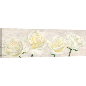 Cuadros de flores modernos en canvas. Jenny Thomlinson, Rosas clásicas