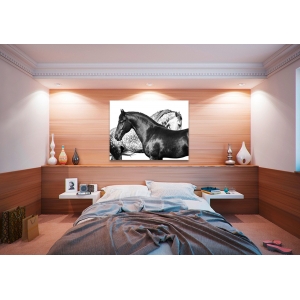 Wall art print and canvas. Pangea Images, Lovers