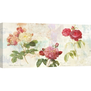 Cuadros botanica en canvas. Eric Chestier, Redouté's Roses 2.0