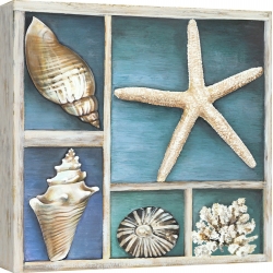 Cuadros marinos en canvas. Ted Broome, Conchas de mar II