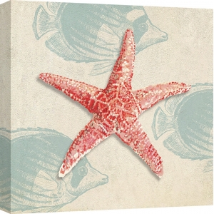 Cuadros marinos en canvas. Ted Broome, Conchas marinas I