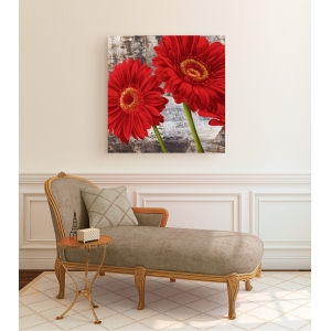 Leinwanddruck mit modernen Blumen. Jenny Thomlinson, Rote Gerbera 1