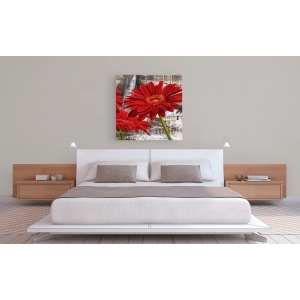 Wall art print and canvas. Jenny Thomlinson, Red Gerberas II