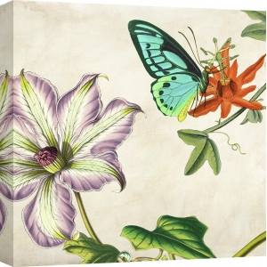 Cuadros botanica en canvas. Remy Dellal, Panel botánico VI