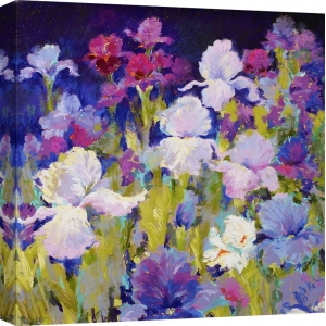 Cuadros de flores en canvas. Nel Whatmore, Irresistible Iris