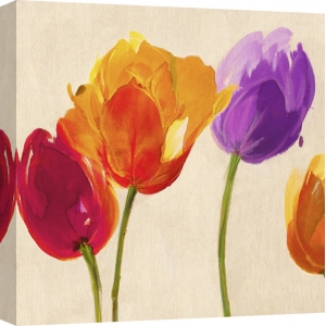 Wall art print and canvas. Luca Villa, Tulips in Colors (detail)
