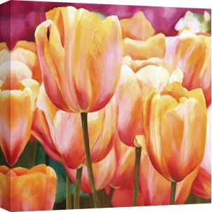 Quadro, stampa su tela. Luca Villa, Spring Tulips I