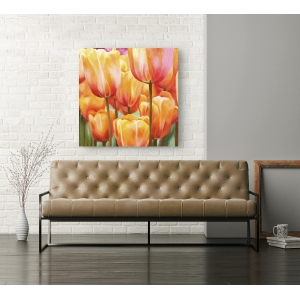 Quadro, stampa su tela. Luca Villa, Spring Tulips II