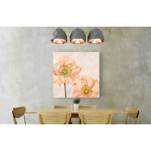 Cuadros de flores en canvas. Luca Villa, Amapolas en rosa I