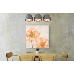 Wall art print and canvas. Luca Villa, Poppies in Pink I
