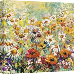 Cuadros de flores en canvas. Florio, Campo florido (detalle)