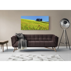 Wall art print and canvas. Krahmer, Cypress and corn field, Tuscany, Italy