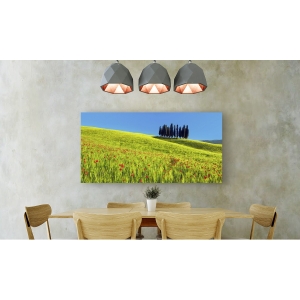 Tableau sur toile. Frank Krahmer, Cyprès et champs de blé, Toscane
