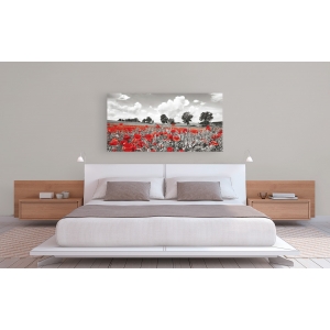 Wall art print and canvas. Krahmer, Poppies and vicias in meadow, Mecklenburg Lake District, Germany