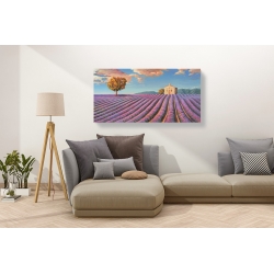 Wall art print and canvas. Adriano Galasso, Lavender field