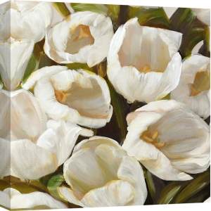 Leinwandbilder Blumen. Leonardo Sanna, Weiss 1