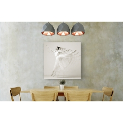 Wall art print and canvas. Haute Photo Collection, Leaping Beauty (detail)