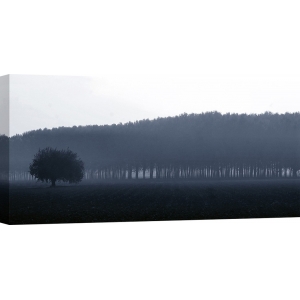 Wall art print and canvas. Fulvio Ferrua, Trees on the horizon